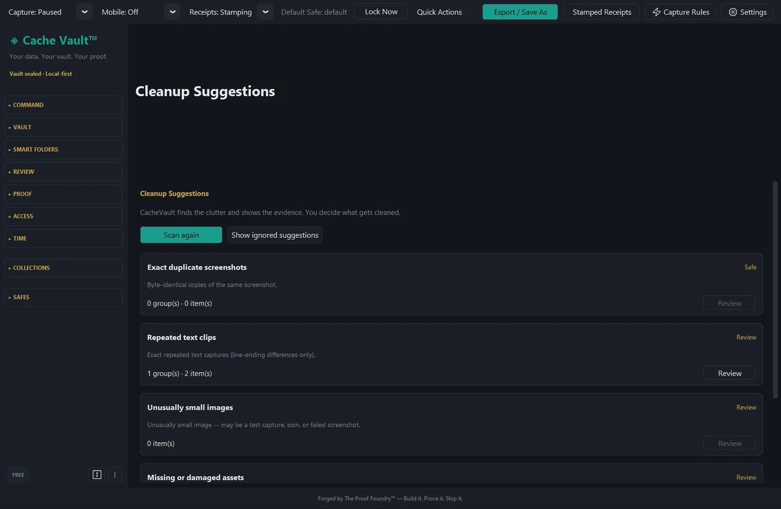 Cache Vault cleanup suggestions showing a duplicate group for review.